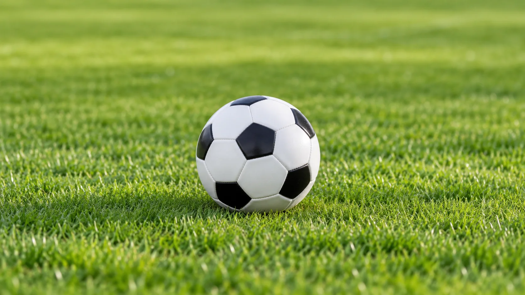 1637129328(1).png
